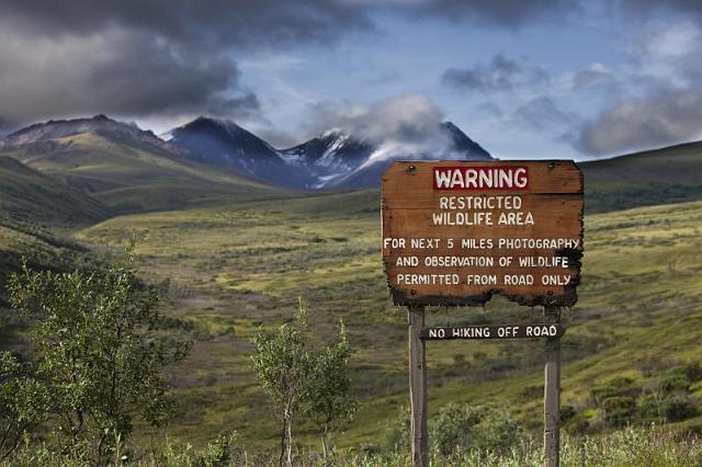 131 Denali NP.jpg